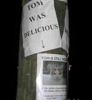 Tom etait delicieux :) - affiche pour un chat perdu qui a apparemment fait le repas de quelq un