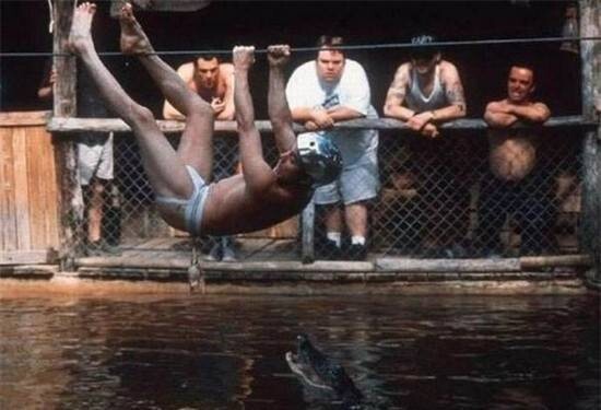 Jackass et la marre au crocodile - jackass et la marre au crocodile
