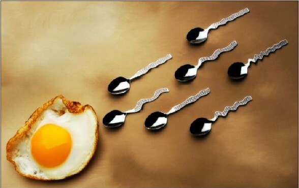 Un oeuf au plat qui va se faire feconder par une de ces cuilleres - oeuf au plat et cuilleres design avec le manche tordu dont la forme evoque un spermatozoide