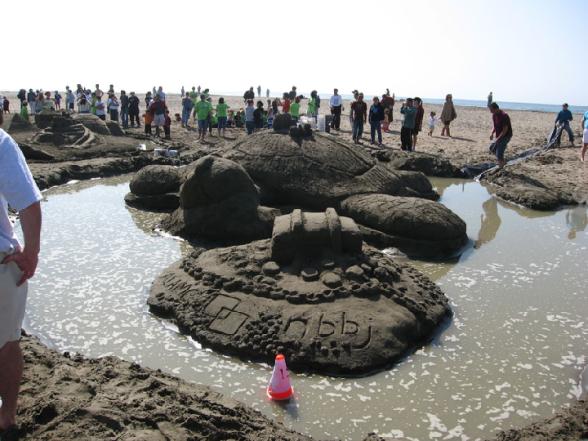 Une tortue de sable - tortue de sable